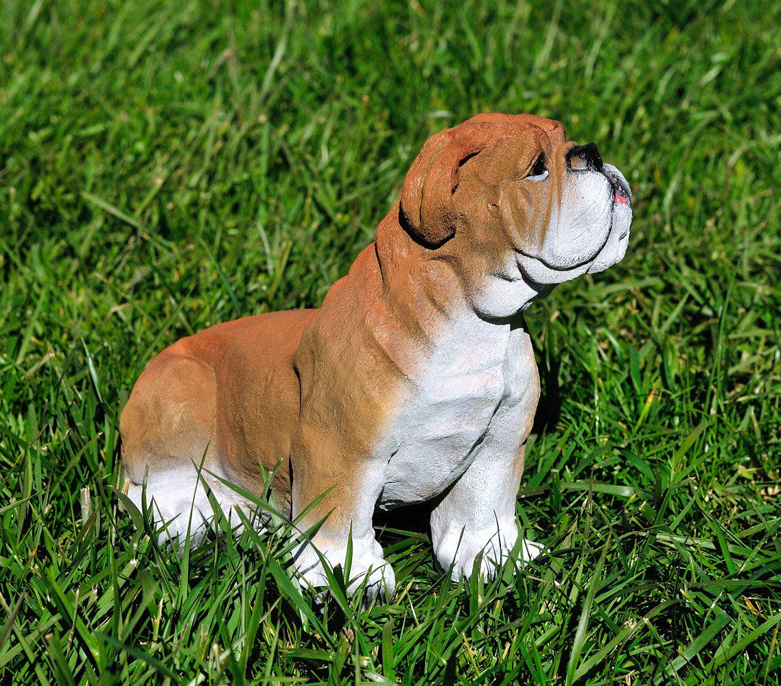 Садовая фигура собака Бульдог сидячий 26 см (814) - фото 3 Садовая фигура собака Бульдог сидячий 26 см (814) - фото 3