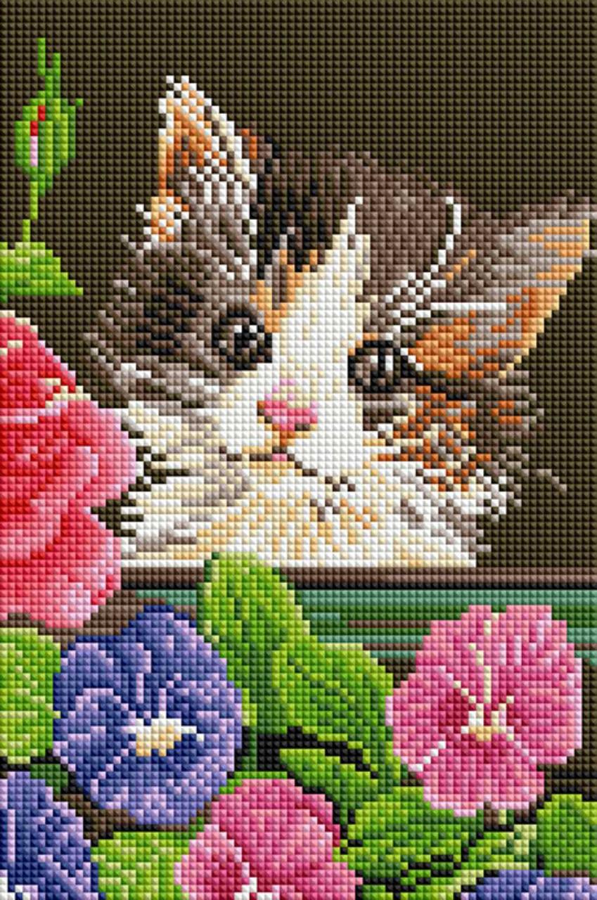 Алмазная мозаика ColorArt Котик в цветах DT723 20x30 см