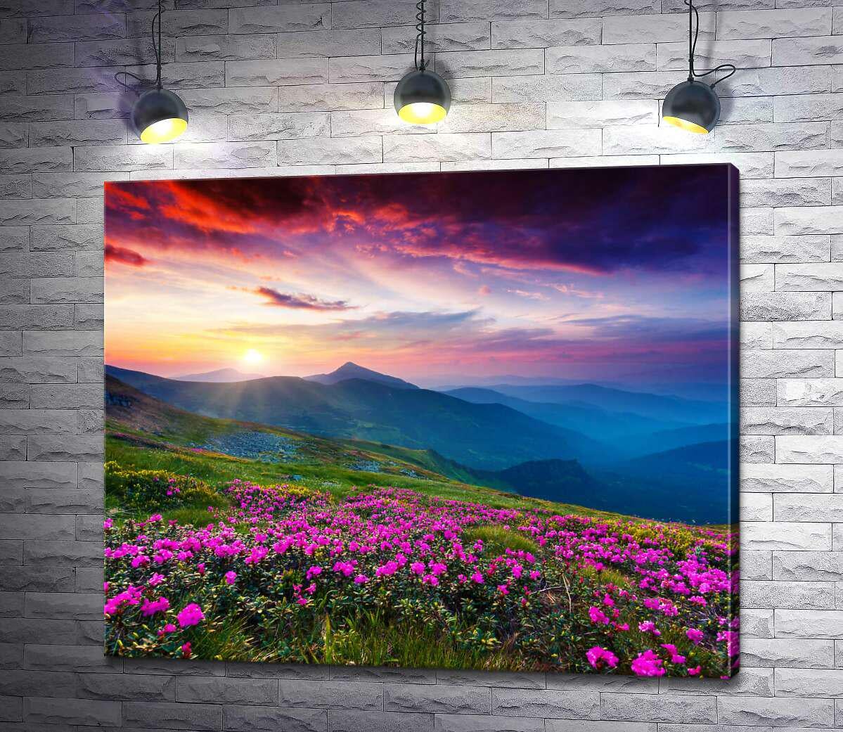 Картина ArtPoster Розовые цветы укрыли горный склон 130x108 см Модуль №1 (002594)