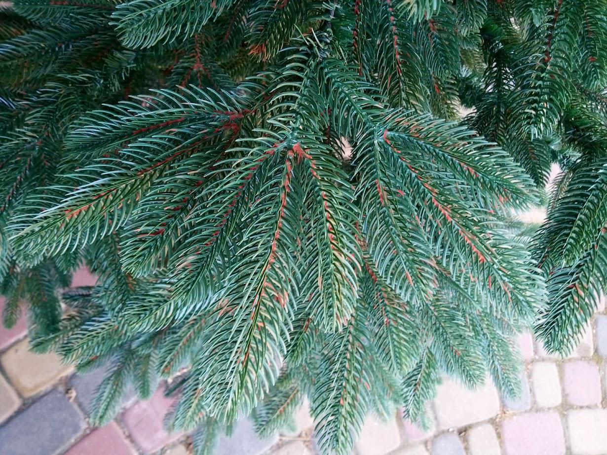 Штучна ялинка лита Преміум з підставкою 2,30 м Зелений (NYT15301) - фото 12 Штучна ялинка лита Преміум з підставкою 2,30 м Зелений (NYT15301) - фото 12