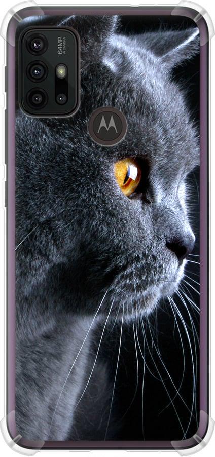 Чехол на Motorola Moto G20 Красивый кот (3038sp-2461-42517)