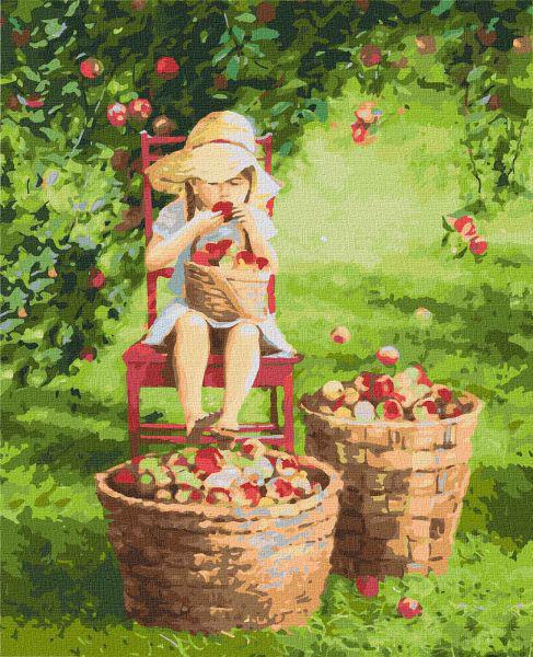 Картина по номерам Идейка Яблочки 40x50 см (KHO4788)