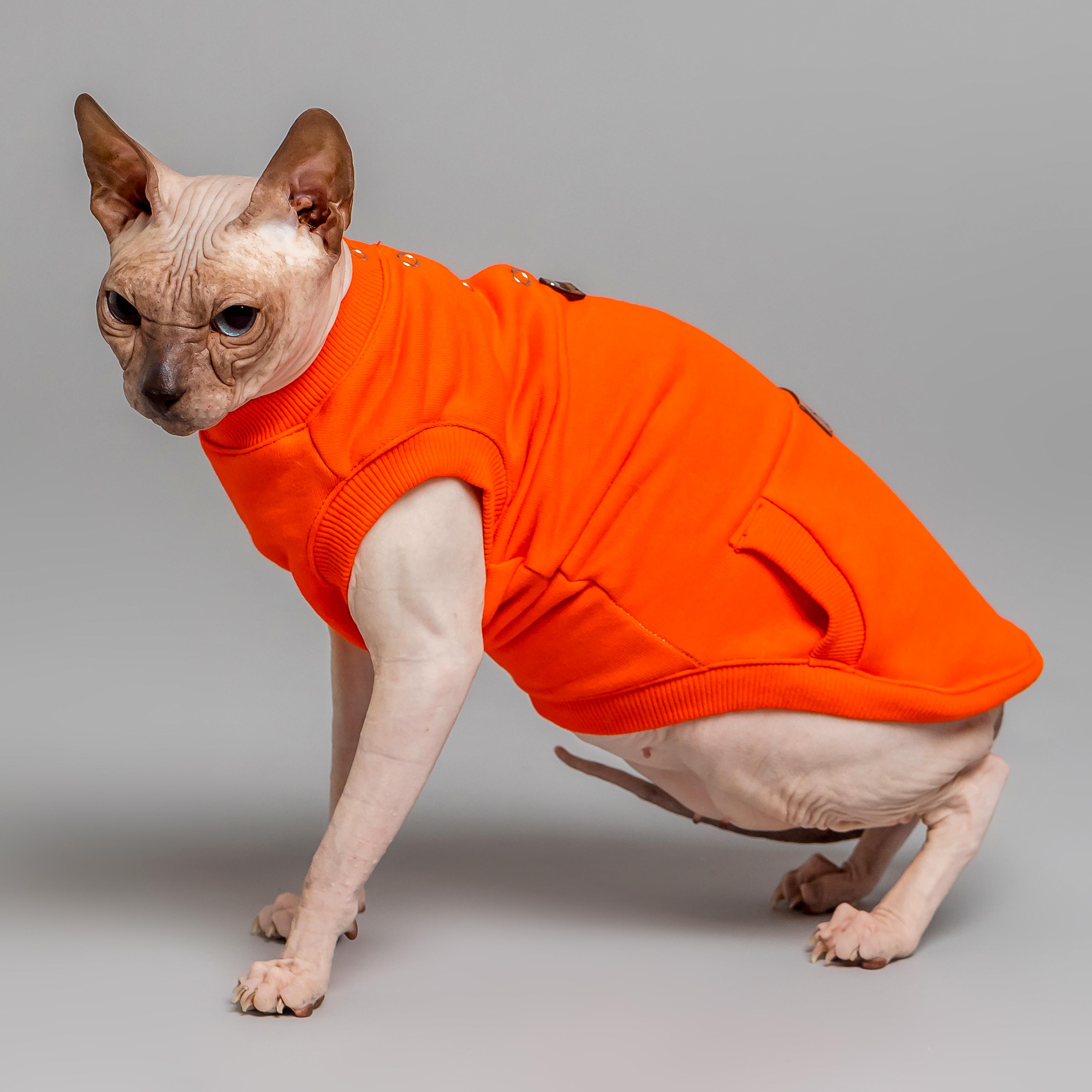 Майка спортивная для кошек Style Pets TVIXI XL Orange (475XL) - фото 2