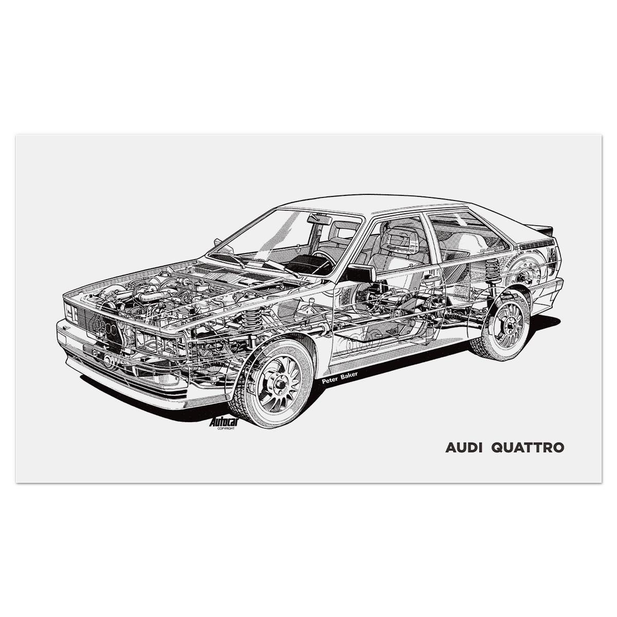 Плакат AUDI Quattro 1980 84x50 см (0073)