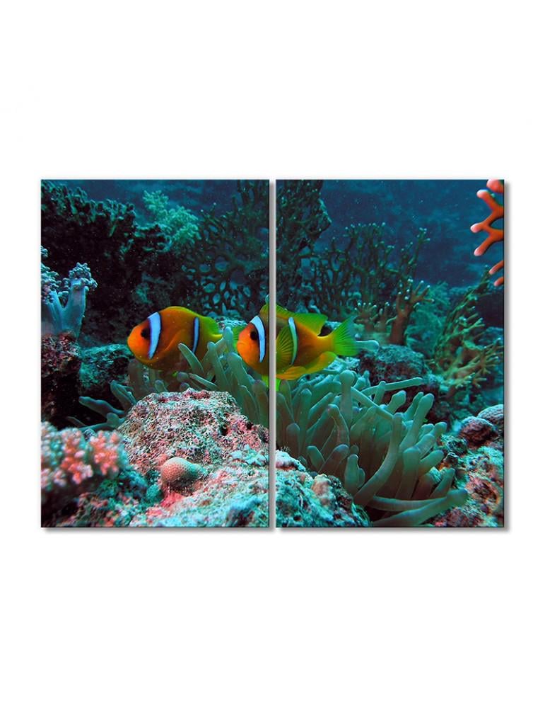 Картина модульная Рыбки клоуны 2 модуля 40х60 см
