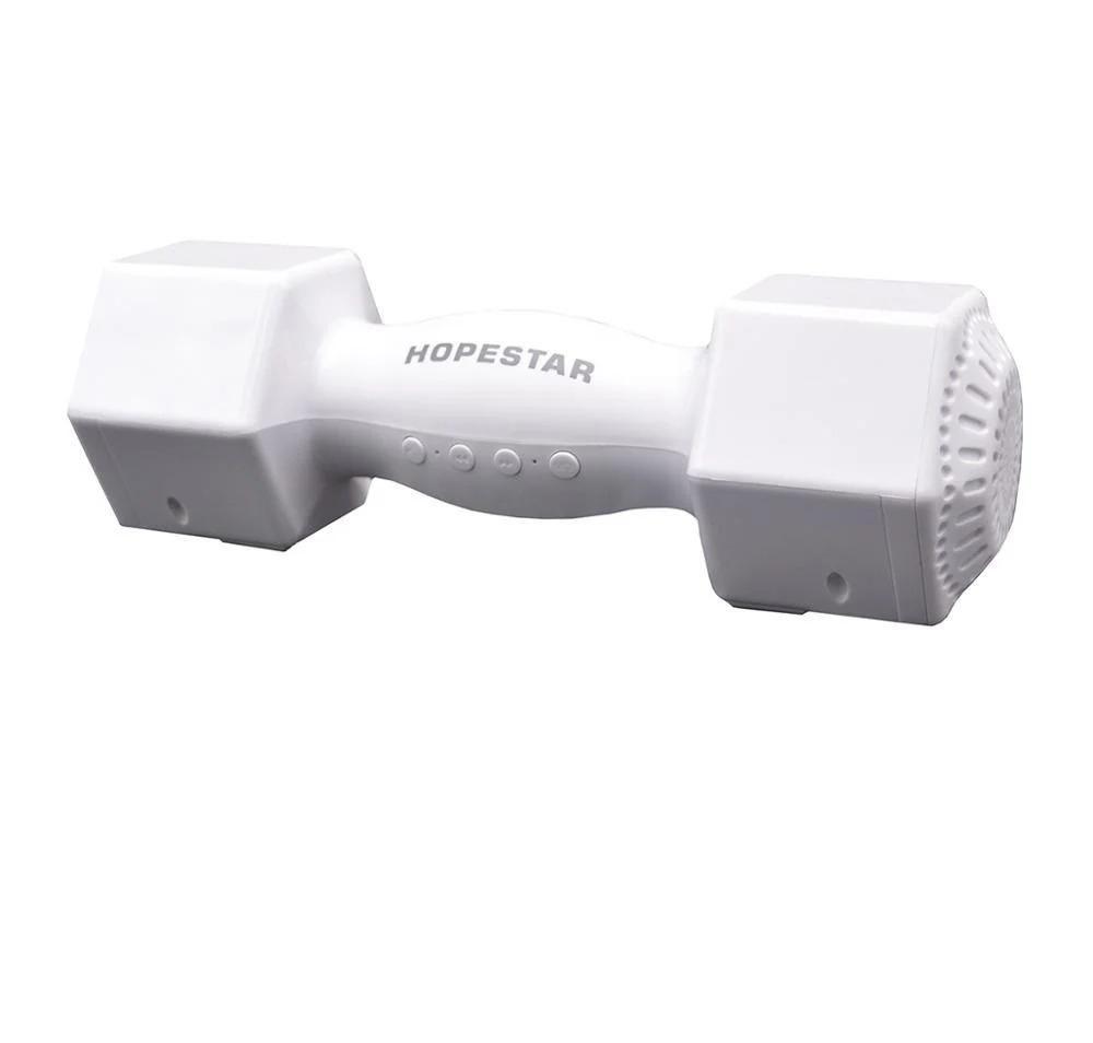 Портативная колонка с FM-приемником Hopestar H16 Белый
