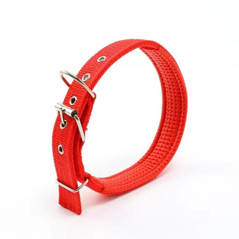 Ошейник для собак с железной пряжкой 28-35 см Красный (1A0070) - фото 2 Ошейник для собак с железной пряжкой 28-35 см Красный (1A0070) - фото 2