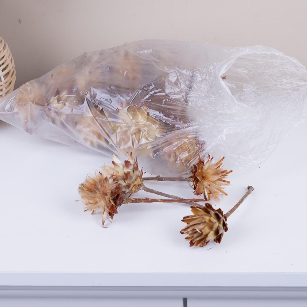 Сухоцвіт головки plumosum (ST00230)