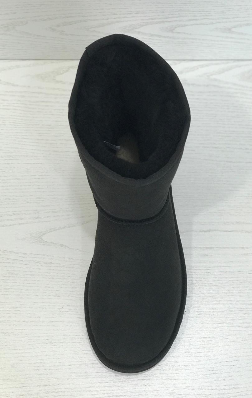 Угги мужские Australian Merino Mens Classic из замши р. 41 Черный - фото 4