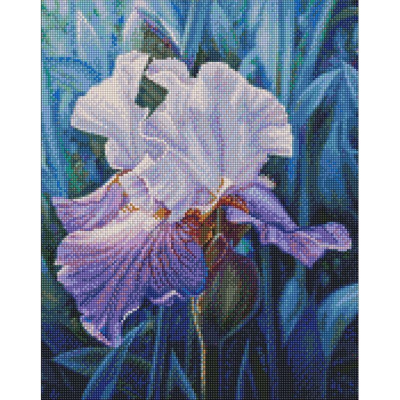 Алмазная мозаика Идейка Весенний ирисъ 40x50 см (AMO7285)