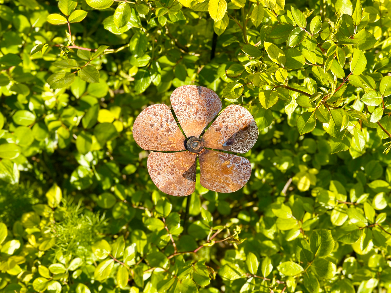 Садовая фигура Металлическая фиалка для вашего двора/клумбы/сада/террасы (DCR036) - фото 3 Садовая фигура Металлическая фиалка для вашего двора/клумбы/сада/террасы (DCR036) - фото 3