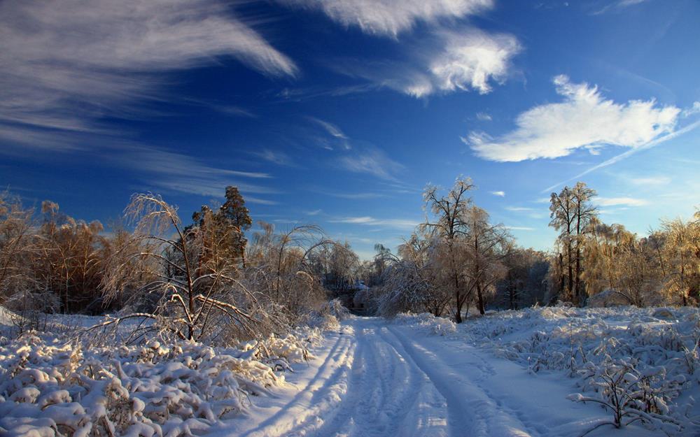 Картина Природа  PR036 35х55 см