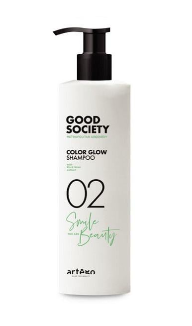 Шампунь для пофарбованого волосся Artego Good Society 02 Color Glow Shampoo 1000 мл (0165901)