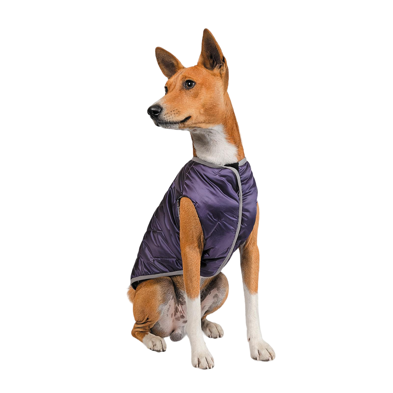Жилет Pet Fashion Calm XS2 Фиолетовый (PR242311)