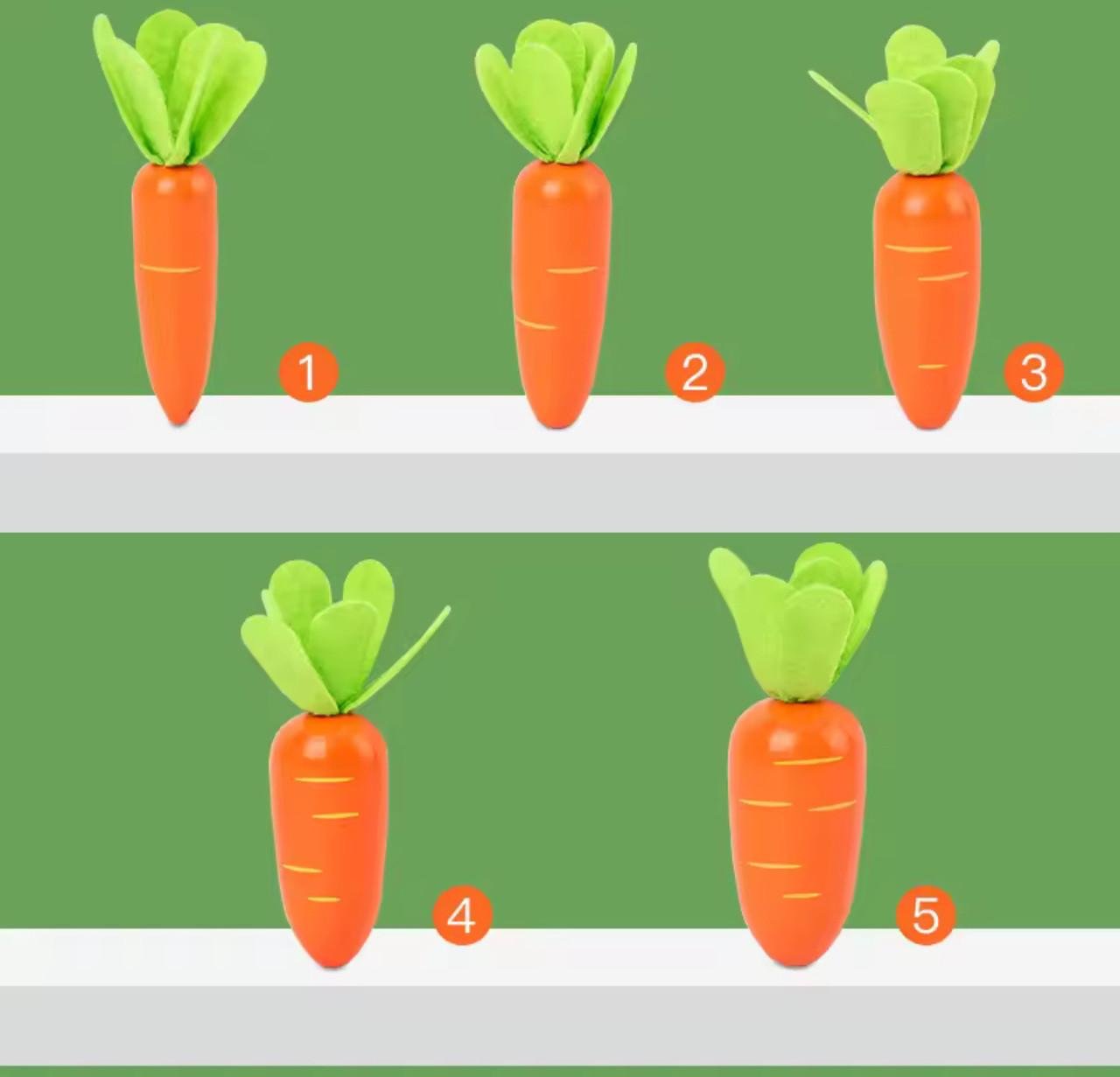 Игрушка для малышей Морковная сортировка с 5 морковками (56) - фото 2