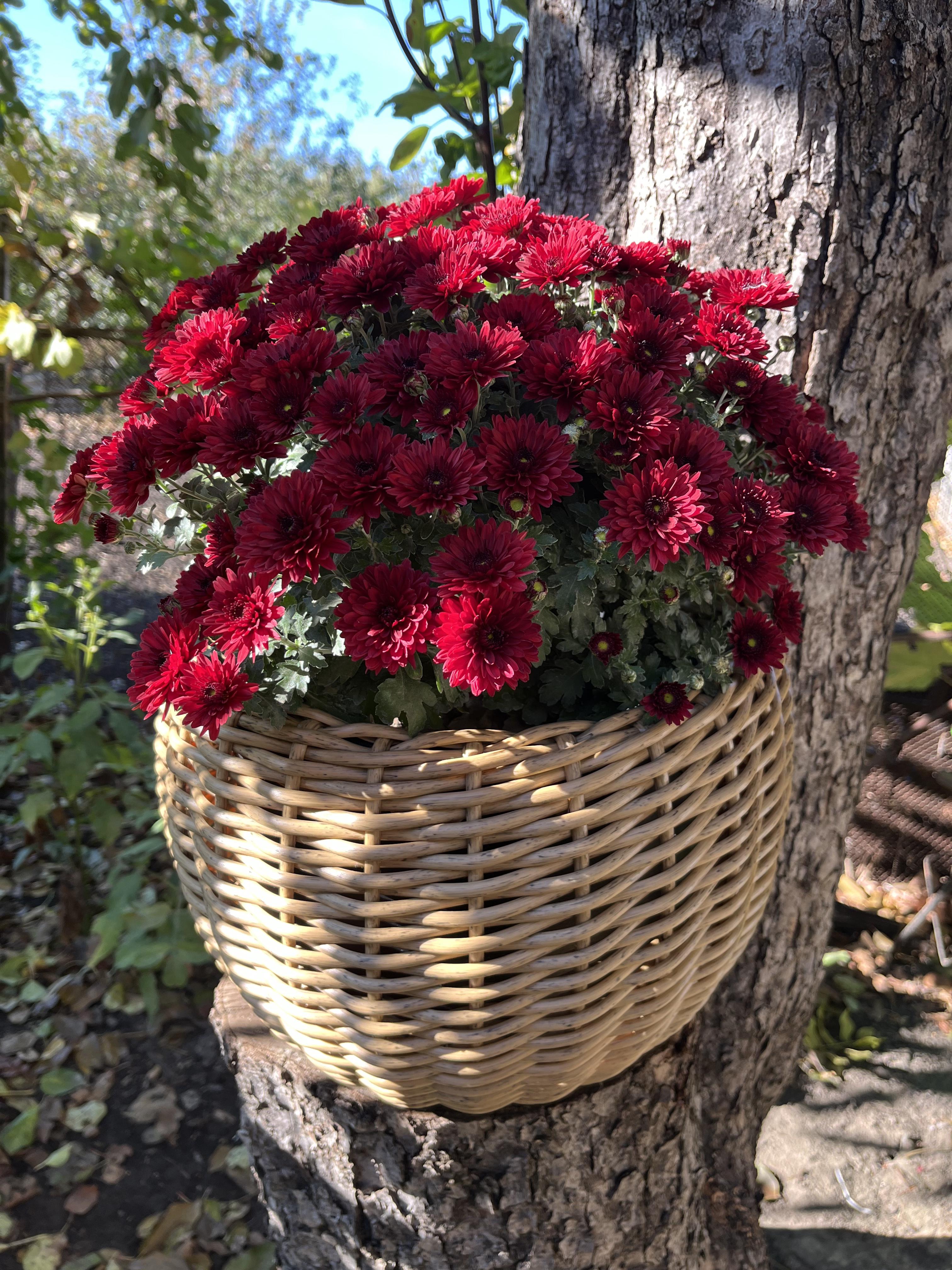 Кашпо кругле для квітів зі штучного ротанга 20 л Дерево (27927868)