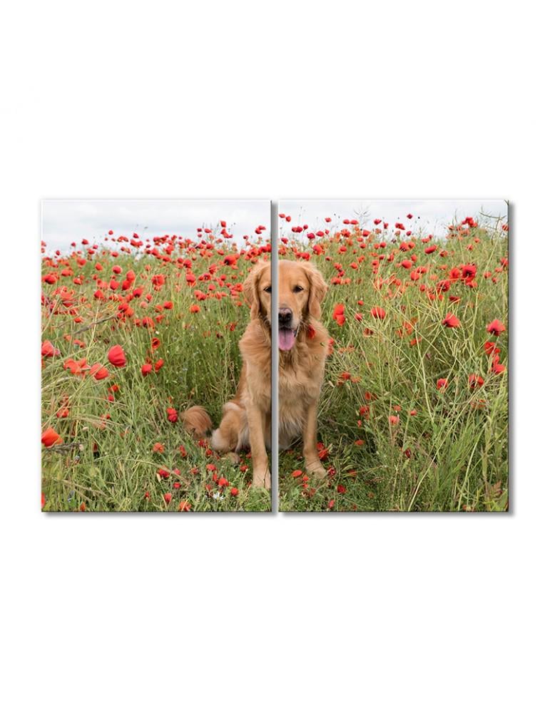 Картина модульная Собака в маках 2 модуля 40х60 см