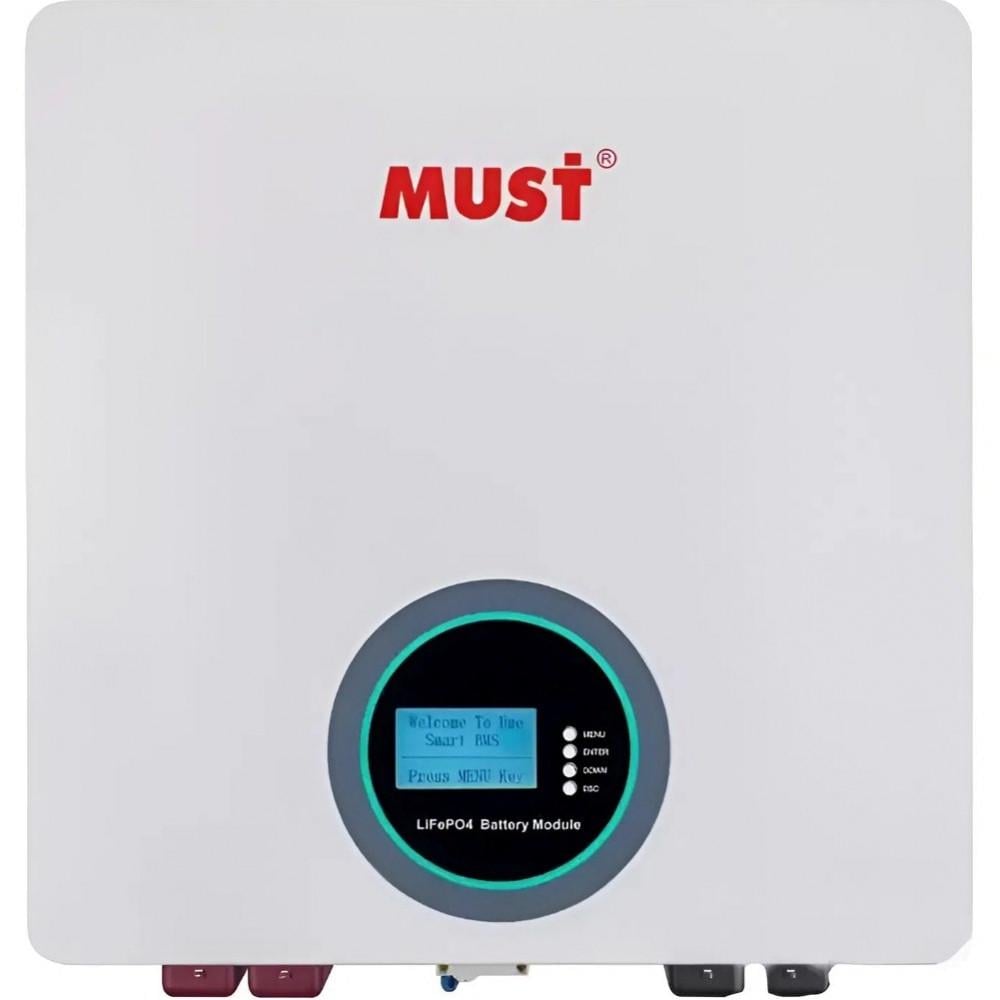 Аккумулятор литиевый Must LP1600-24200 LiFePO4 24V 200 Ач (31842510)