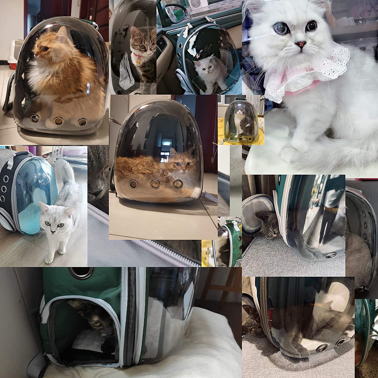 Рюкзак прозрачный Lollimeow для переноса домашних животных (DY-SN046) - фото 4
