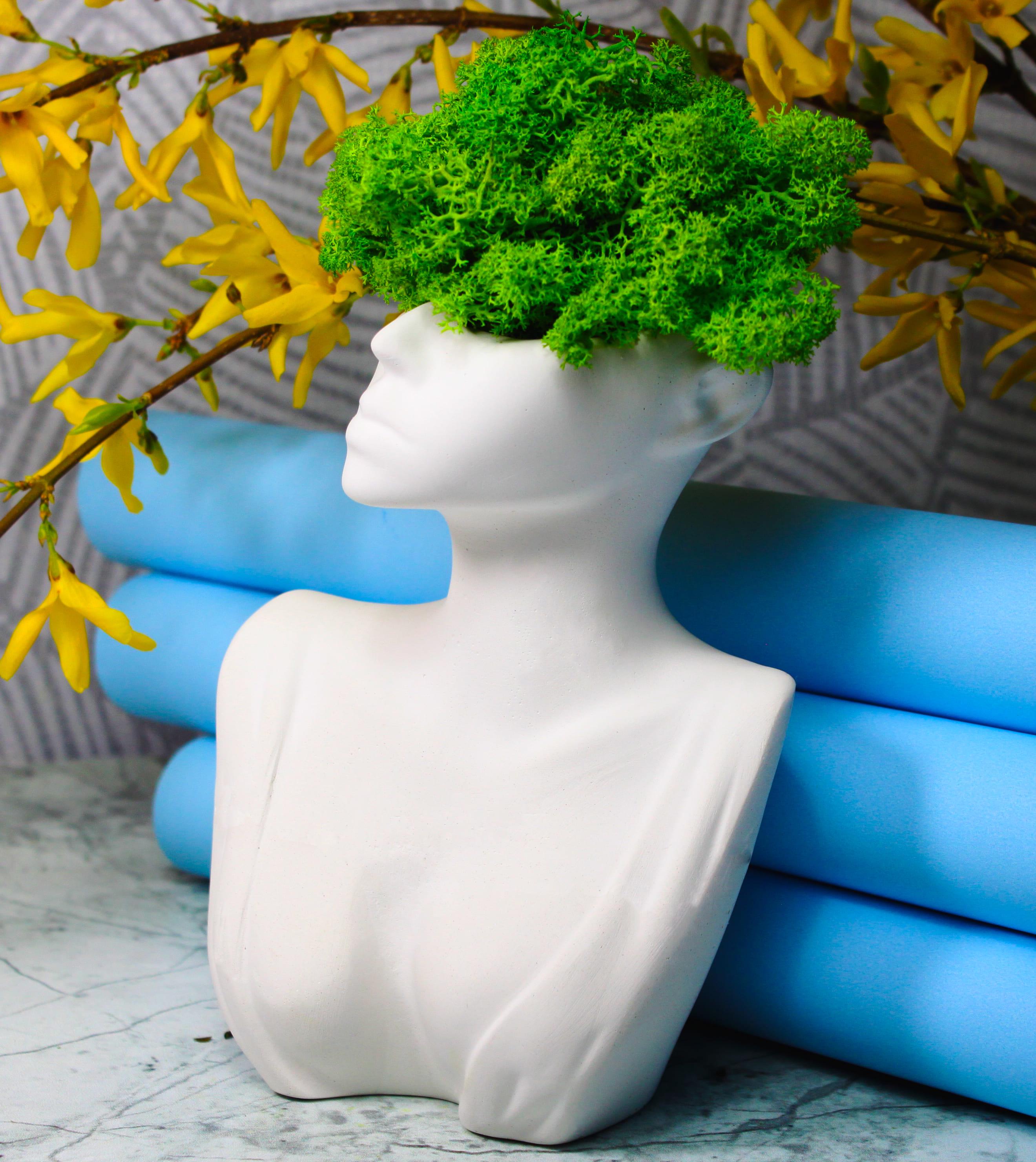 Кашпо гипсовое NEROLI Женственность со стабилизированным мхом 20 см Белый - фото 2