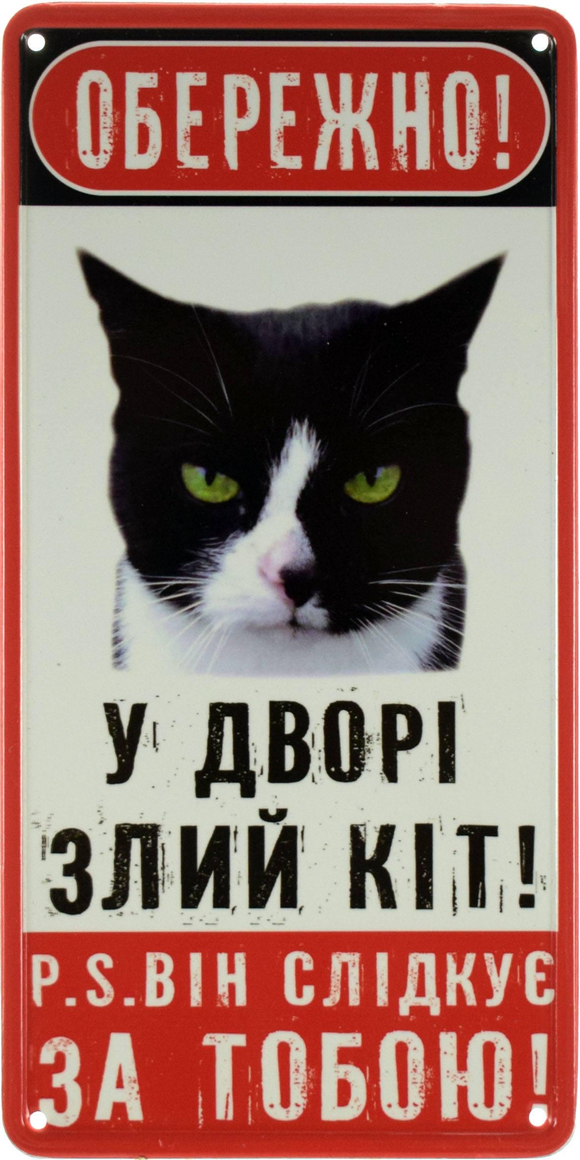 Табличка металлическая "Обережно! У Дворі Злий Кіт! PS Він Слідкує За Тобою!" 15x30 см
