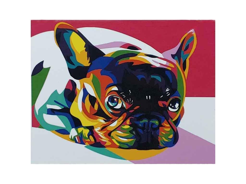 Картина по номерам Strateg Цветной французский бульдог 40х50 см (DY)