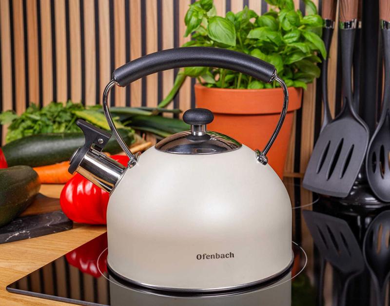 Чайник Ofenbach нержавіюча сталь зі свистком 2,2 л Бежевий матовий (NB-100325) - фото 4 Чайник Ofenbach нержавіюча сталь зі свистком 2,2 л Бежевий матовий (NB-100325) - фото 4
