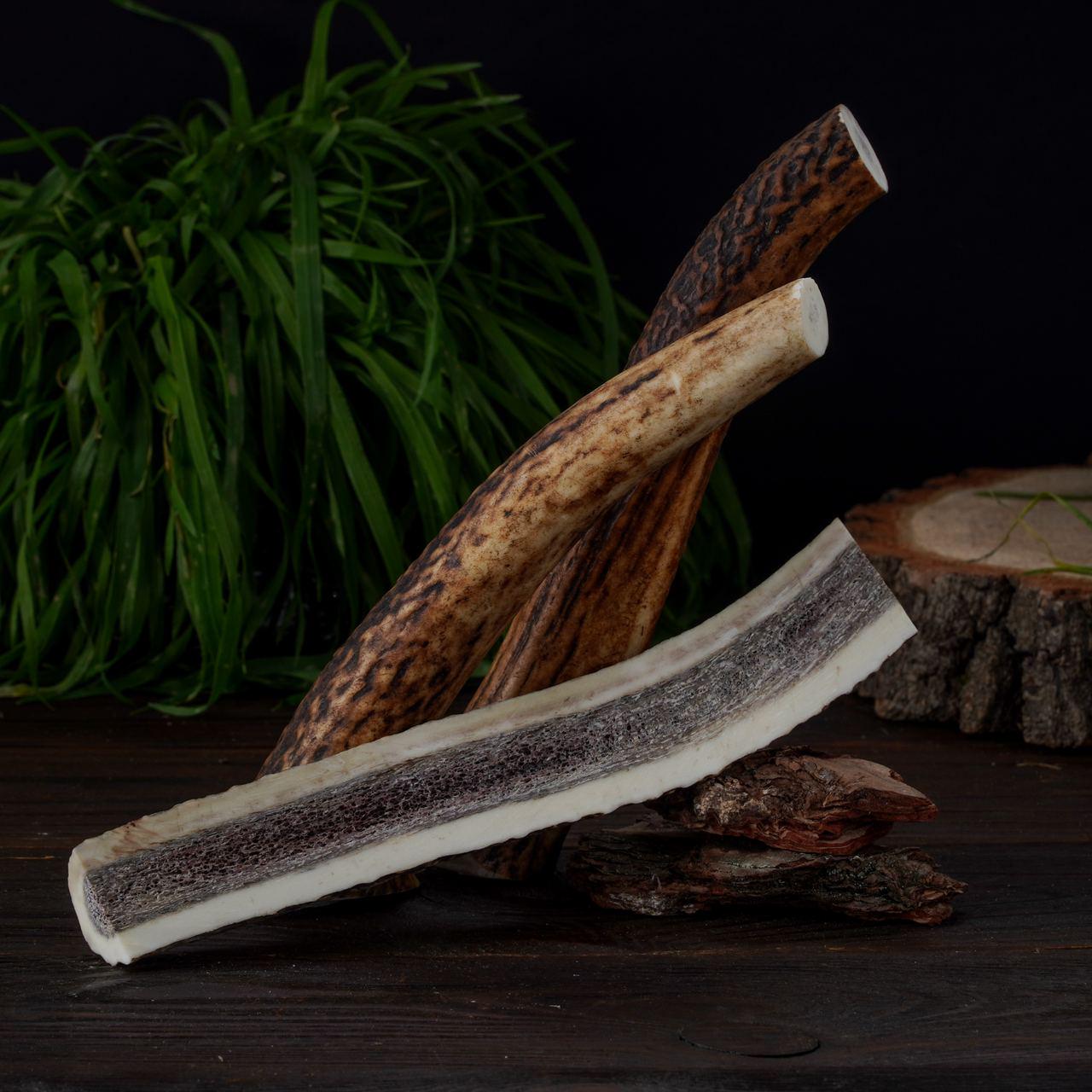 Сплит из рога оленя DogsRogs М 20 см (SplitM) - фото 4 Сплит из рога оленя DogsRogs М 20 см (SplitM) - фото 4