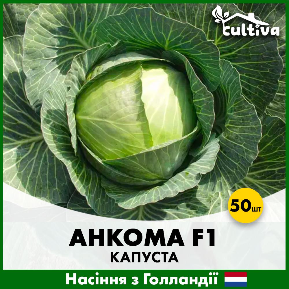 Семена капусты Rijk Zwaan Белоголова Анкома F1 50 шт. (0014850)