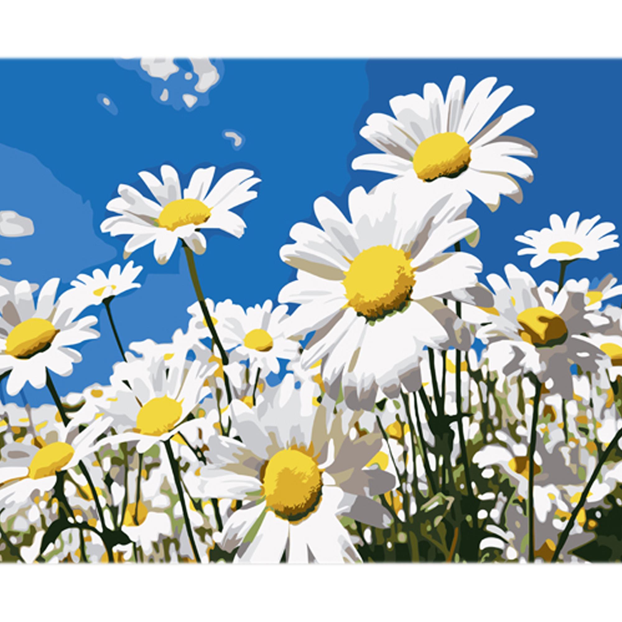 Картина по номерам Strateg Премиум Солнечные лепестки с лаком и уровнем 30x40 см (Str-LY37)