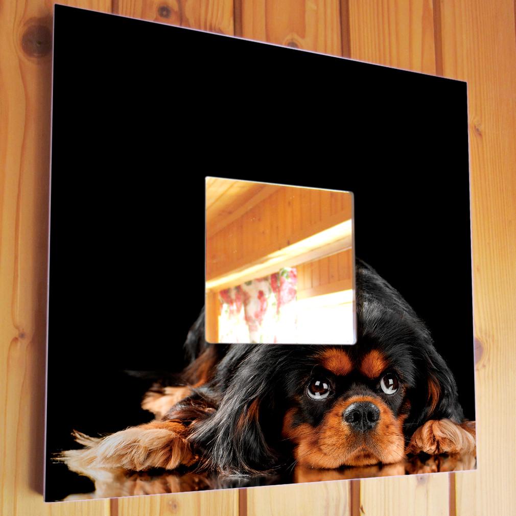 Зеркало декоративное Собака кокер спаниель 260х260 мм (M03894)