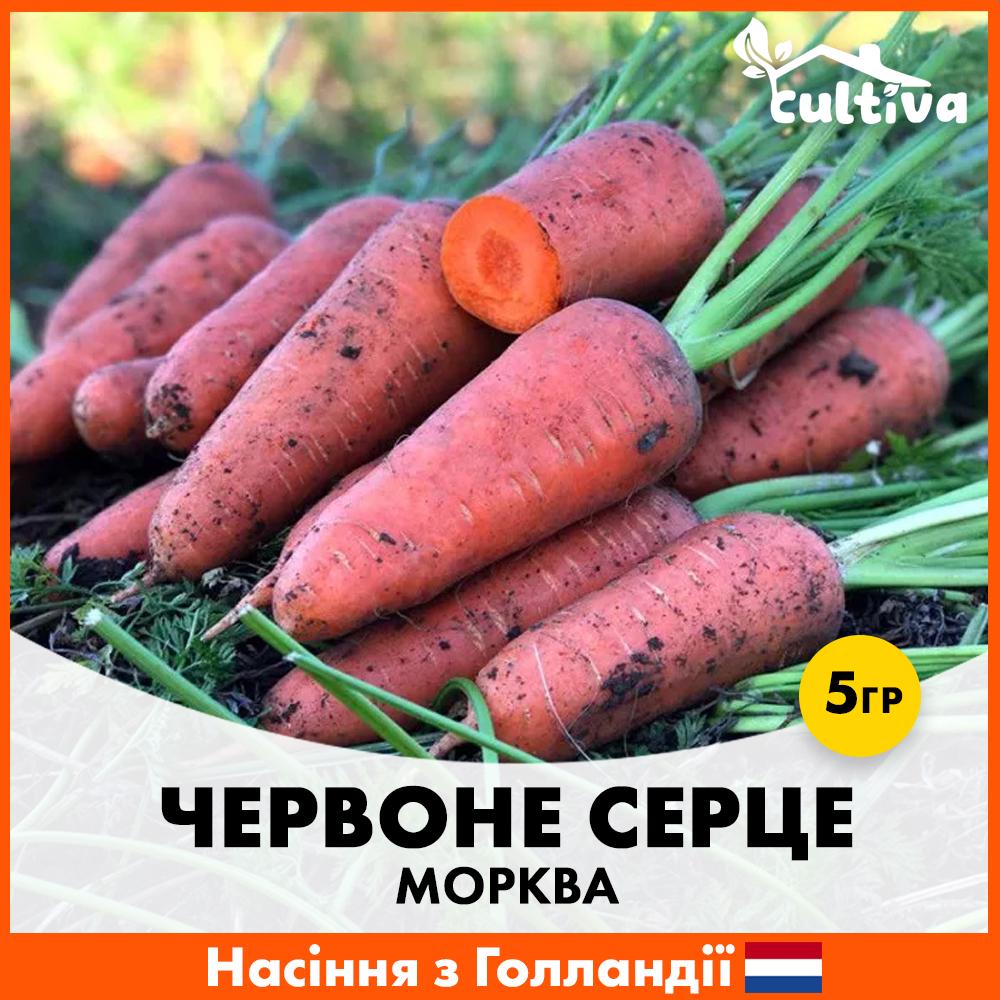 Семена моркови Hazera Шантане Красное Сердце 5 г (R51138)