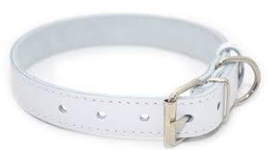 Ошейник для животных кожаный ВЕСНА 20 мм х 33-41 см Белый (2354925661) - фото 1