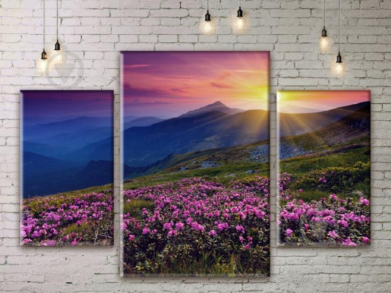 Модульная картина ArtStar ADNA0040 размер 45 х 70 см