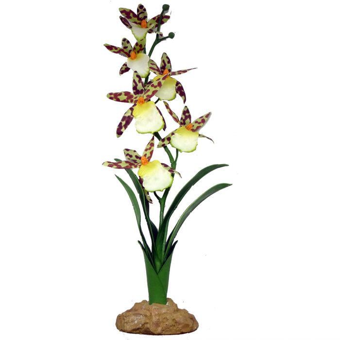 Декорація для тераріуму Exo Terra Spider Orchid пластик 6,5х45х5 см (PT2991)