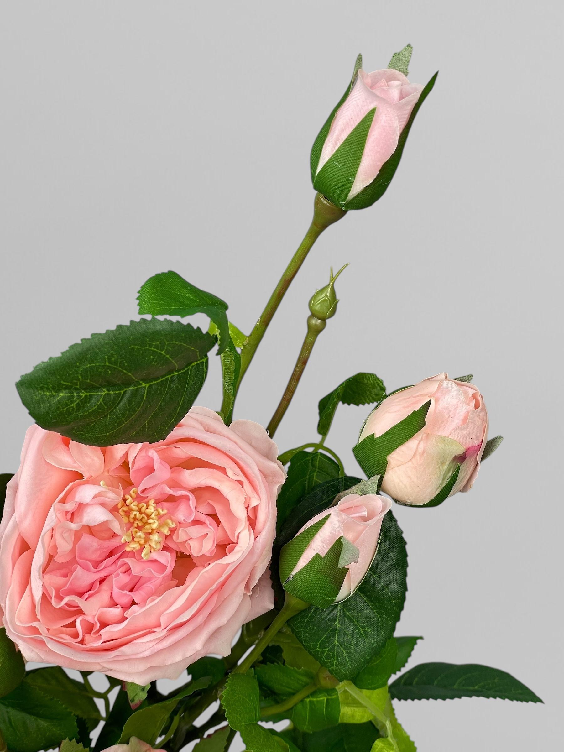 Искусственная английская роза Дэвида Остина 72 см Розовый (К02036) - фото 6 Искусственная английская роза Дэвида Остина 72 см Розовый (К02036) - фото 6