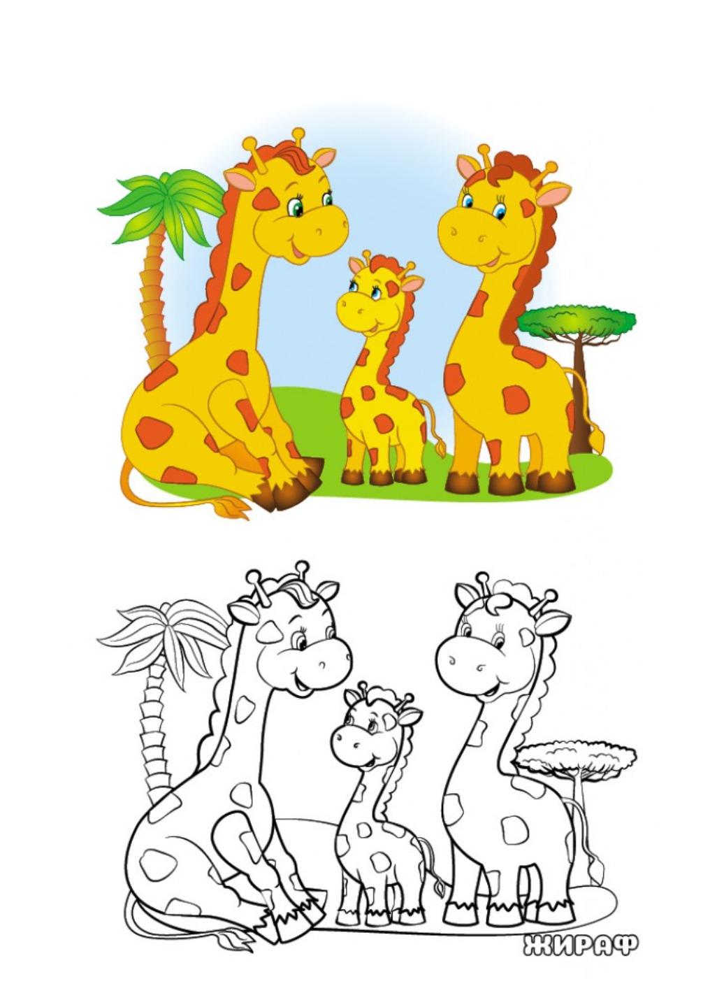 Розмальовка "Кумедні тварини Подивись та розфарбуй" - фото 3 Розмальовка "Кумедні тварини Подивись та розфарбуй" - фото 3