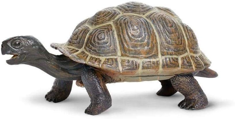Фигурка Safari Ltd Черепаха малыш XL (260829)