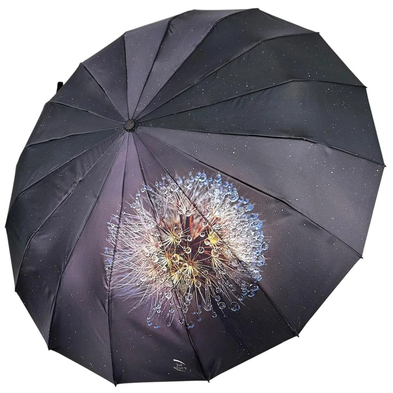 Парасолька автомат жіноча Frei Regen 6277-6 Кульбаби сатиновий купол 106 см на 16 посилених спиць Чорний