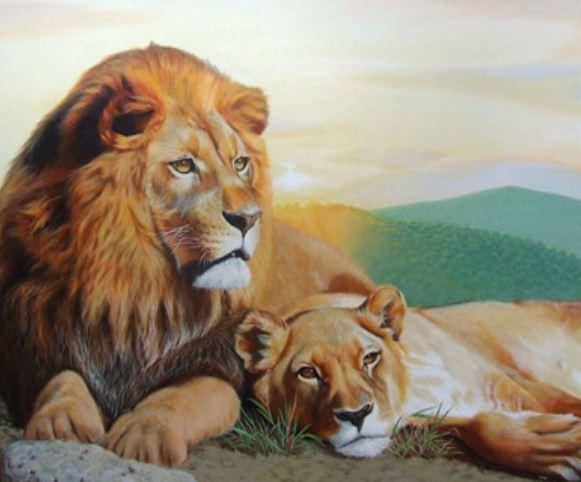 Картина по номерам Josef Otten Животные Львы 30х40 см в термопакете (1663EKTL_O-mt)