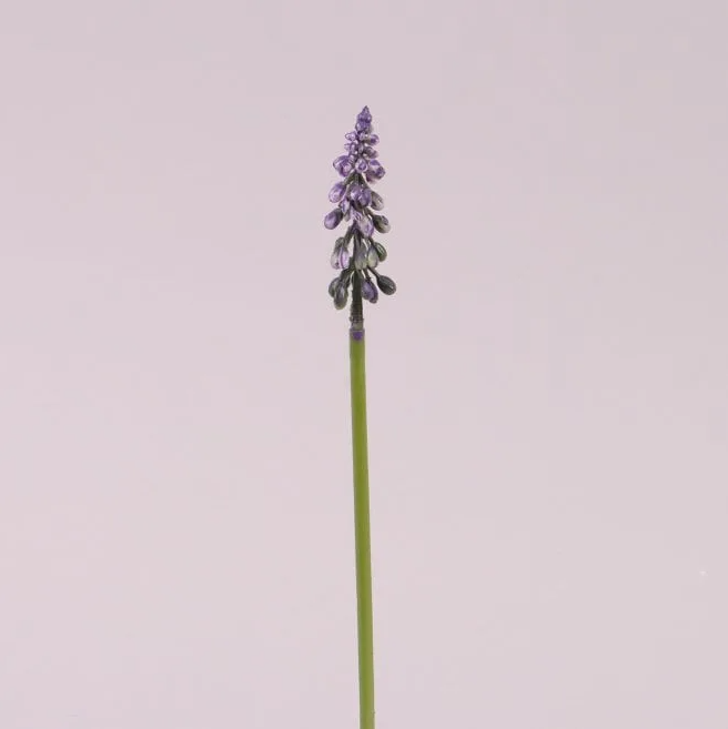 Набор цветков Мускари Flora 12 шт. (72841) Набор цветков Мускари Flora 12 шт. (72841)