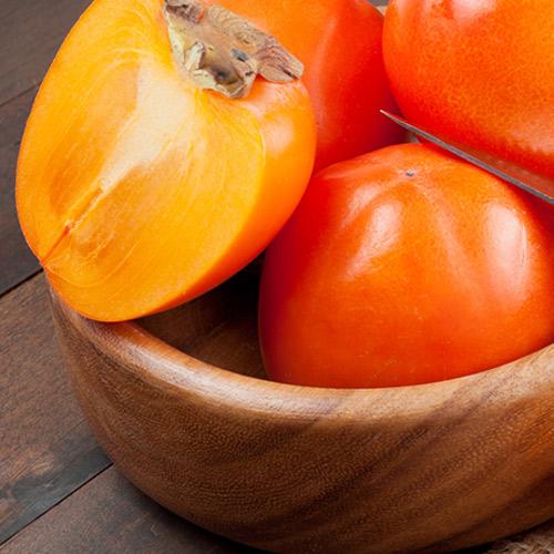 Сажанец Хурма на виргинском морозостойком подвое Киллен высший сорт (101986)