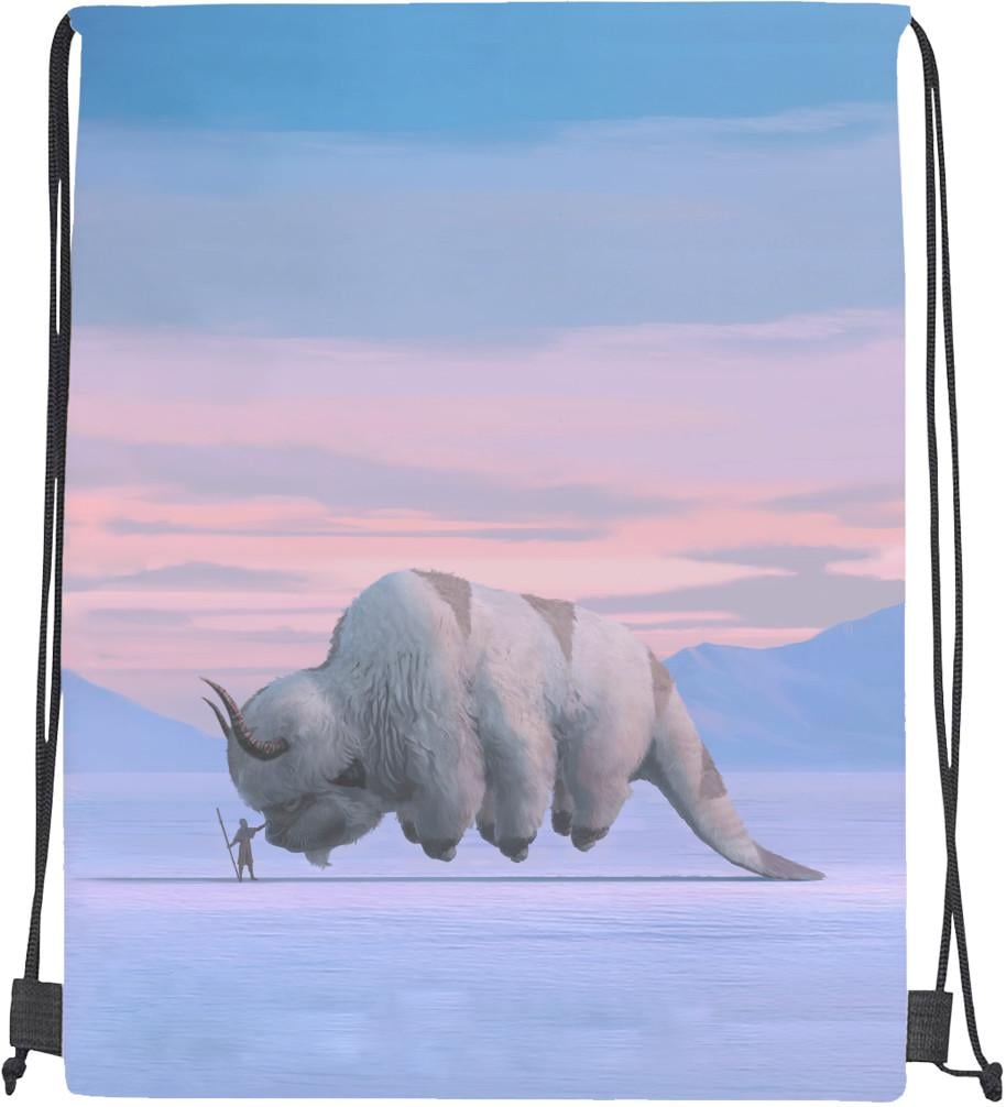 Мішок спортивний Avatar And Appa (20301408)