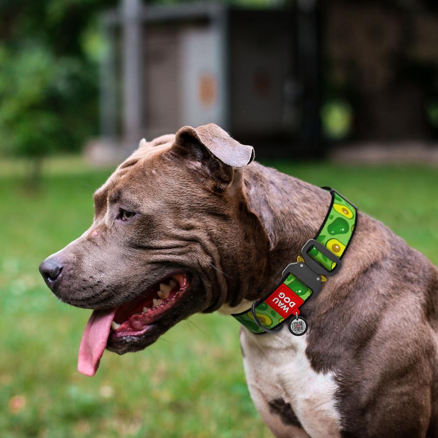 Ошейник для собак с QR-паспортом Waudog Nylon Авокадо металлическая пряжка-фастекс XXL 35 мм 46-70 см Green (4535-0048) - фото 3 Ошейник для собак с QR-паспортом Waudog Nylon Авокадо металлическая пряжка-фастекс XXL 35 мм 46-70 см Green (4535-0048) - фото 3