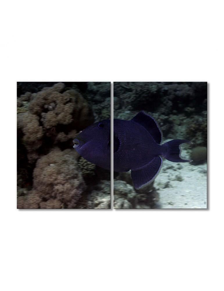 Картина модульная Рыбная королева - спинорог 2 модуля 50x75 см