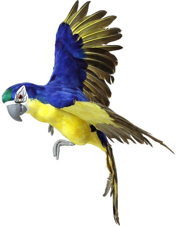 Декоративная игрушка Попугай 70 см Синий/Желтый (BD-743-504)