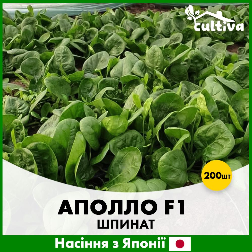 Семена шпината Sakata Аполло F1 200 шт. (R51077)