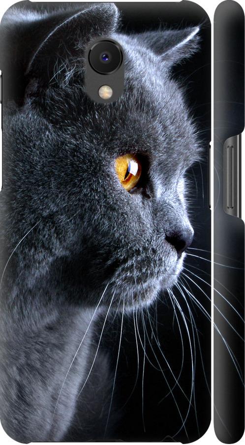 Чохол на Meizu M6s Гарний кіт (3038m-1364-42517) Чохол на Meizu M6s Гарний кіт (3038m-1364-42517)