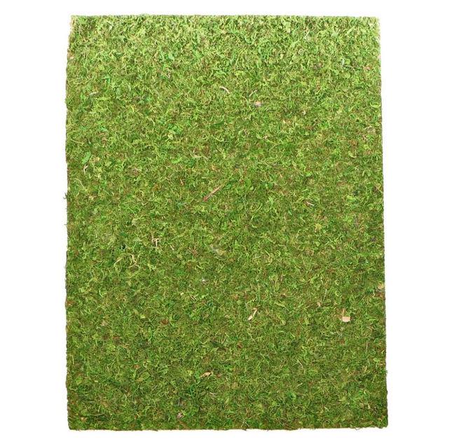 Фон моховой Repti-Zoo Natural Moss Back & Bottom 50x25 см 2 шт. (Nсм5025)