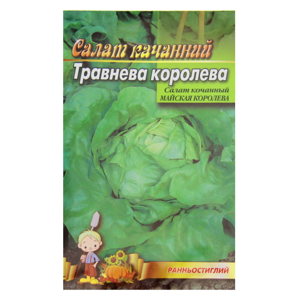 Семена салата Майская королева кочанный раннеспелый 5 г (24203)